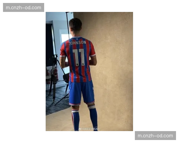 约翰逊4000万加盟水晶宫 热刺旧将寻求新的发展空间